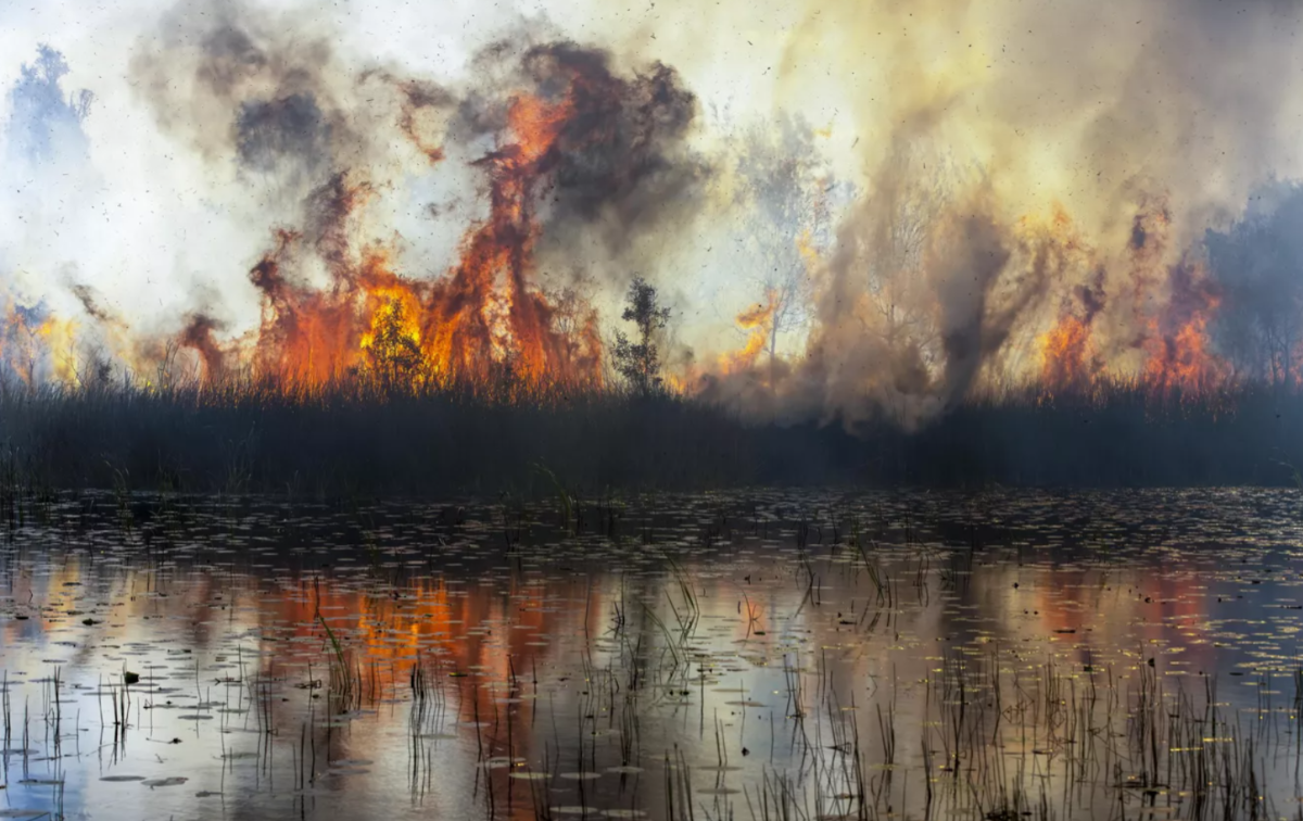 Nhiếp ảnh gia người Úc, Peter Meyer về nhì với bức ảnh chụp đám cháy rừng ở Kgari, còn được gọi là đảo Fraser, ở Queensland, Australia.