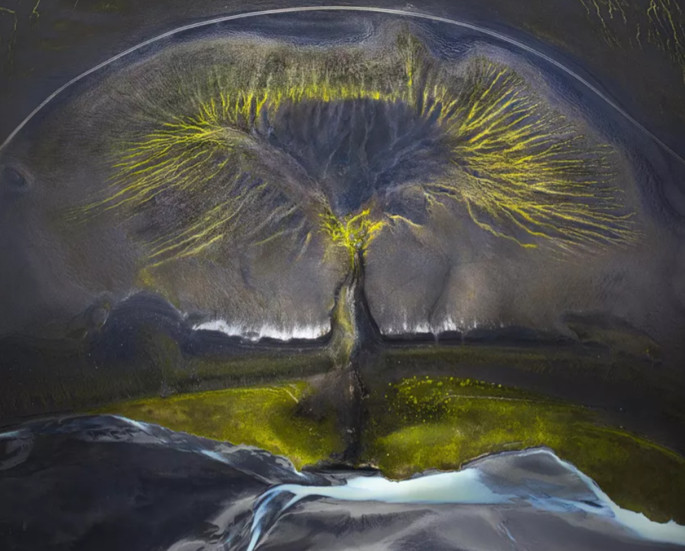 Bức ảnh Tree of life. Bức ảnh chụp các rãnh trên mặt đất được tạo ra bởi các dòng sông ở Iceland của của nhiếp ảnh gia Ý Isabella Tabacchi đã đoạt giải ba hạng mục Ảnh phong cảnh quốc tế của năm.