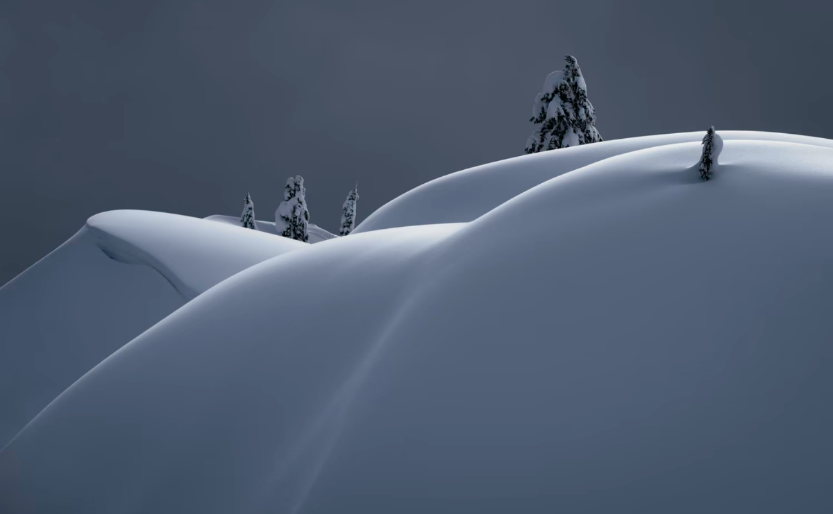 Bức ảnh Gối . Top 101. Núi Seymour, Vancouver, Canada.