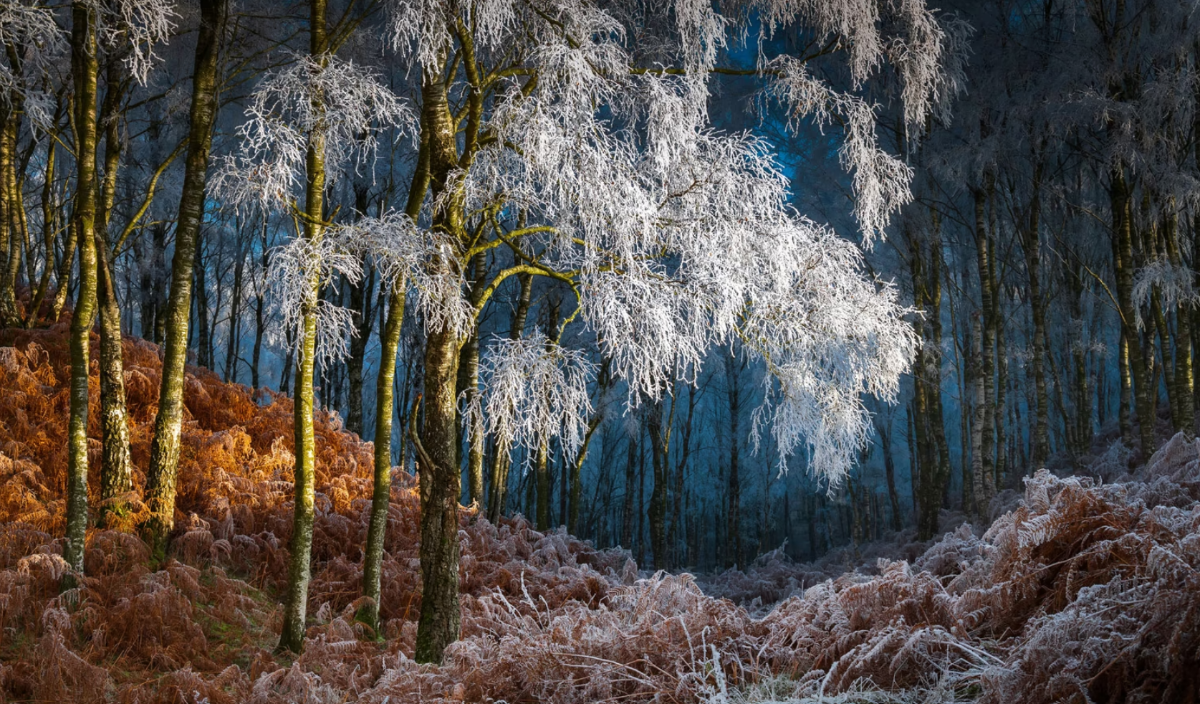 Cánh cửa tới Narnia . Top 101. Thung lũng Eden, Cumbria, Vương quốc Anh.