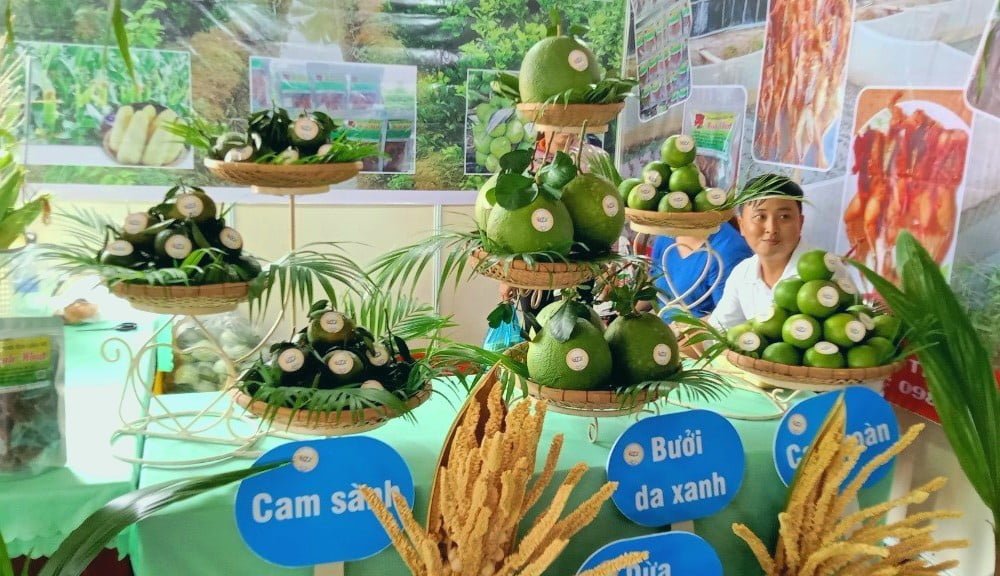 Mỗi năm, HTX Nông nghiệp Thông Hòa cung cấp đến 15 nghìn tấn trái cây sạch cho thị trường trong nước và quốc tế.