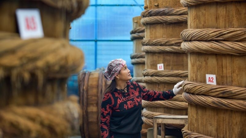 Đầu tư nâng chất lượng nước mắm được nhiều người dân ở làng nghề Khúc Phụ quan tâm.