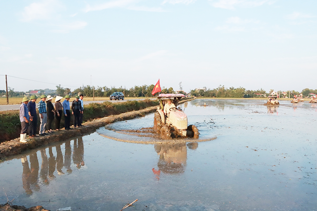 Cẩm Xuyên đang chú trọng chuyển đổi ruộng đất, xây dựng cánh đồng lớn &lpar;Ảnh: BHT&rpar;.