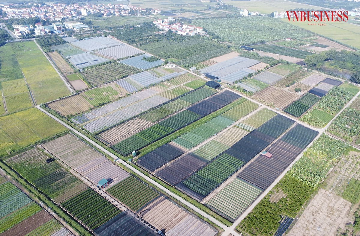 Cách trung tâm TP Hà Nội khoảng 20km, HTX Rau hữu cơ công nghệ cao Cuối Quý &lpar;huyện Đan Phượng&rpar; là đơn vị sản xuất rau sạch ứng dụng công nghệ cao, với tổng diện tích lên đến gần 15ha, tập trung sản xuất và cung cấp ra thị trường trên 30 loại rau củ quả các loại.