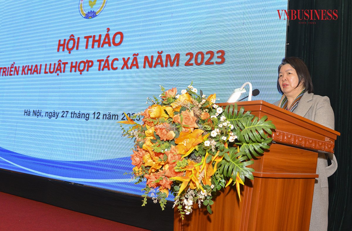 Chủ tịch Liên minh HTX Việt Nam Cao Xuân Thu Vân cho rằng, những đóng góp về dự thảo Nghị định Luật HTX 2023 sẽ là nền tảng để các HTX phát triển trong thời gian tới.