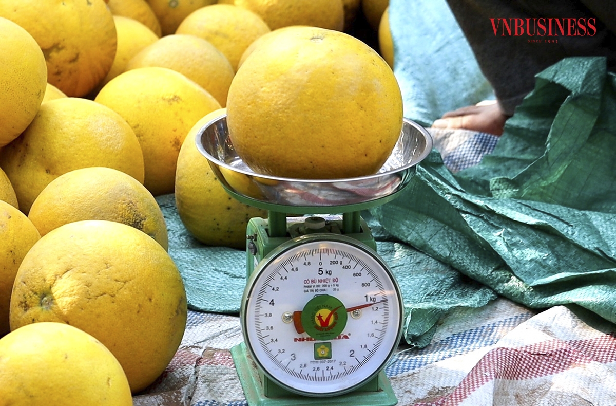 Điểm đặc trưng của loại bưởi này là để lâu càng ngọt, có cuống nhỏ, cầm nặng tay, mỗi quả có trọng lượng khoảng 7 lạng đến 1,2kg. Sau khi hái xuống không nên ăn ngay mà nên để vài ngày thưởng thức sẽ ngon, thơm và ngọt hơn.