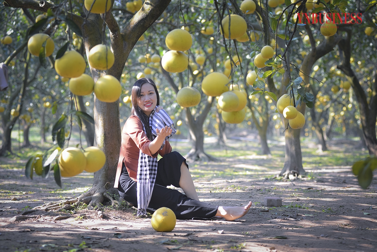 Chị Đinh Thanh Hải &lpar;quận Đống Đa, Hà Nội&rpar; đã tìm đến thăm vườn bưởi sau khi nghe một số người bạn giới thiệu. “Chưa bao giờ mình được đặt chân đến một vườn bưởi rộng, đẹp và thơm như thế này. Tại đây, không gian chụp hình rất thoải mái và mình còn được thưởng thức bưởi ngay tại vườn“, chị Hải chia sẻ.