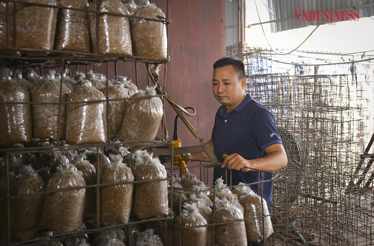Giám đốc Nguyễn Huy Chiều vẫn đau đáu chờ ngày trở lại sản xuất đông trùng hạ thảo với quy mô lớn.