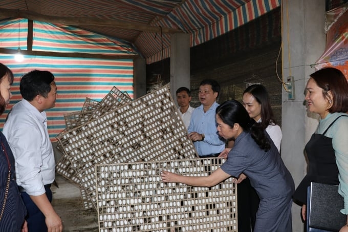 Nhiều địa phương tại Yên Bái xác định đào tạo nghề hết sức quan trọng để các hộ nghèo, cận nghèo có được cần câu phát triển kinh tế.