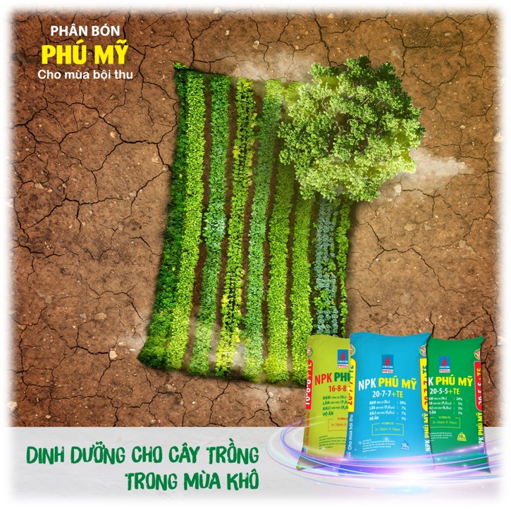 Các sản phẩm NPK Phú Mỹ cho cây trồng trong mùa khô.