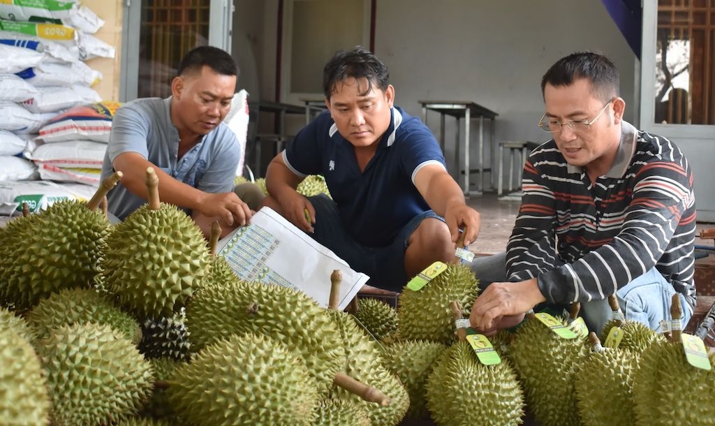 Người dân ở Đạ Lây cùng HTX Nông nghiệp dịch vụ sầu riêng Hương Sơn tham gia vào Dự án Liên kết sản xuất và tiêu thụ sản phẩm sầu riêng 500 tấn năm 2025.