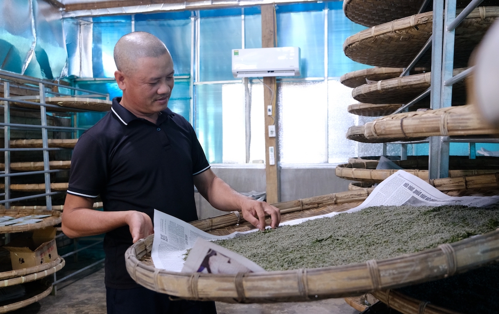 HTX nông nghiệp và dịch vụ dâu tằm Đạ Pal được chính quyền huyện Đạ Tẻh hỗ trợ thí điểm nuôi tằm trong nhà lạnh.