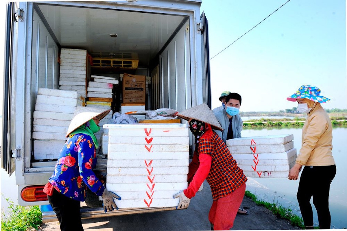 Nhiều thành viên của HTX bảo tồn và khai thác rươi, cáy tự nhiên, chế biến nông sản sạch Vĩnh Lập đã trở thành những tỷ phú nông dân.