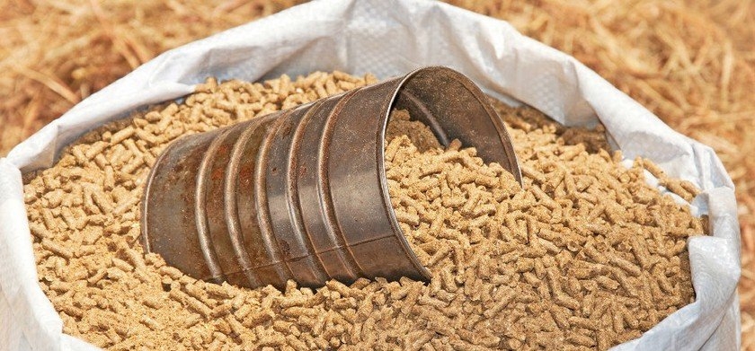 Nhập khẩu nhóm hàng thức ăn gia súc và nguyên liệu giảm 10,8% so với năm 2022.