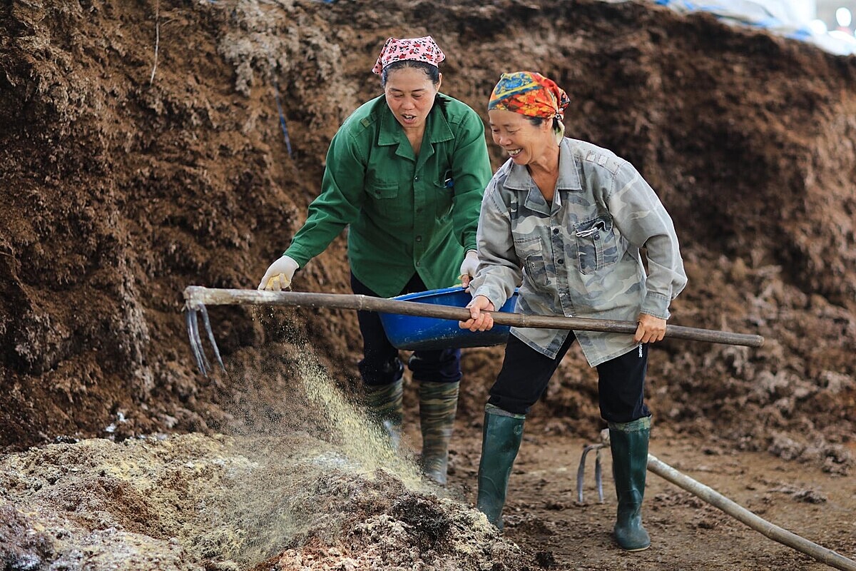 Nông dân say mê làm phân hữu cơ từ kiến thức được học tại các lớp tập huấn.