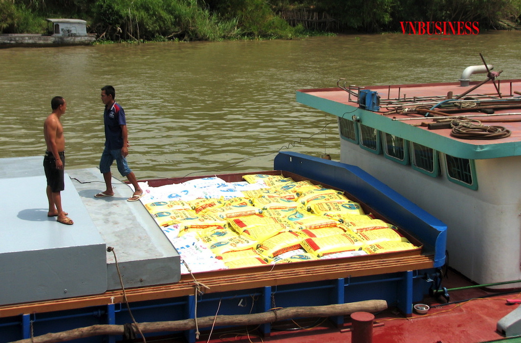 Chi phí logistics cho ngành phân bón trong nước vẫn chiếm tỷ trọng cao khiến cho giá phân bón ở mức cao, ảnh hưởng đến lợi nhuận của người trồng lúa.