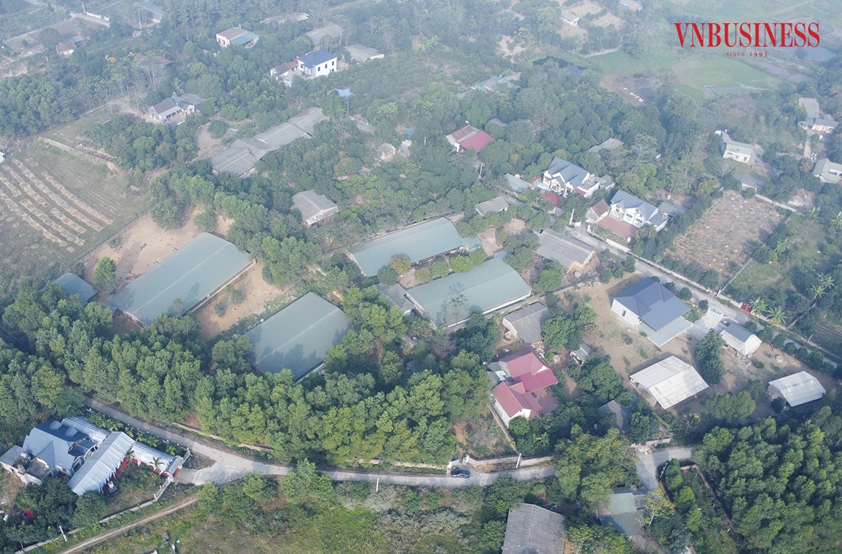 Với mô hình chăn nuôi gà đồi theo hướng an toàn sinh học, anh Ngô Trọng Hiển ở xã Thuỵ An, huyện Ba Vì, TP Hà Nội nhiều năm liền đạt danh hiệu hộ nông dân sản xuất kinh doanh giỏi. Đặc biệt, năm 2022, anh Hiển đã được Thủ tướng Chính phủ tặng Bằng khen “Có thành tích xuất sắc trong sản xuất nông nghiệp”. Phạm Hòa