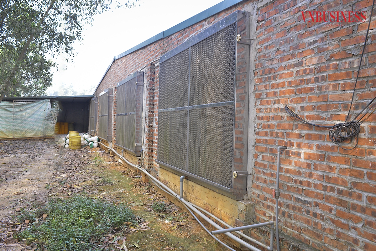 Khu chuồng nuôi được xây dựng ở vị trí cao ráo, đảm bảo các điều kiện thông thoáng khí, đầu tư hệ thống làm lạnh, làm mát hiện đại đảm bảo cho sự phát triển của đàn gà.