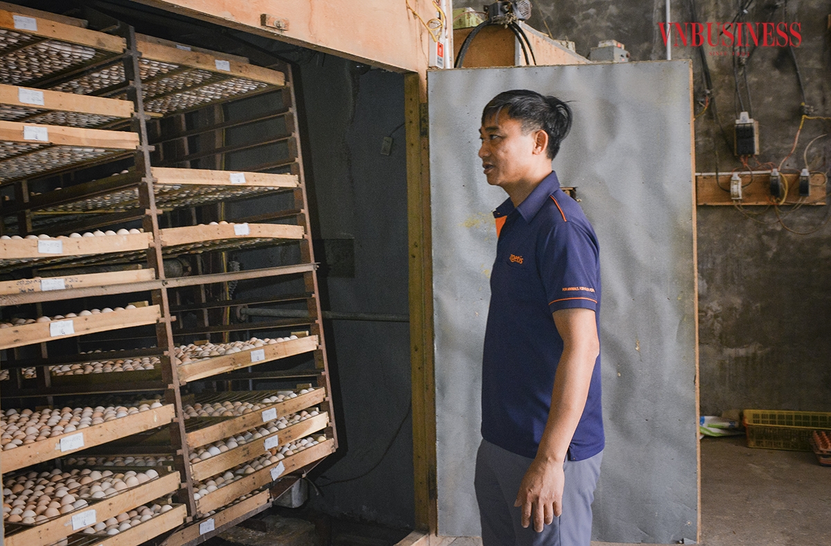 Quá trình chăn nuôi gà, anh Hiển đã đầu tư hệ thống lò ấp trứng với công suất 4 vạn trứng/mẻ nhằm tự chủ và sản xuất con giống theo chu trình khép kín, đồng thời nhằm đảm bảo chất lượng cung ứng gà giống cho bà con quanh vùng.