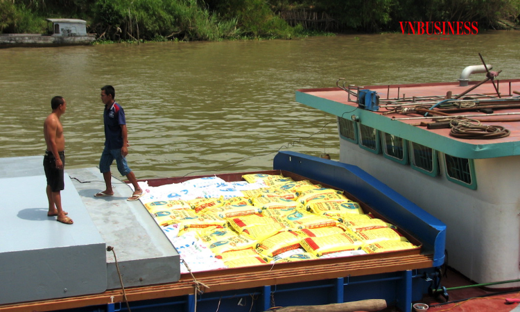 Điều gì khiến lợi nhuận người trồng lúa ngày càng giảm?