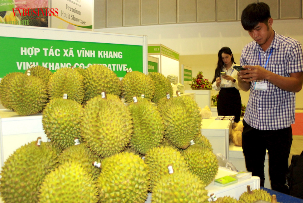 Các HTX đã đóng vai trò quan trọng giúp cho trái sầu riêng lên “ngôi vương” trong XK rau quả.