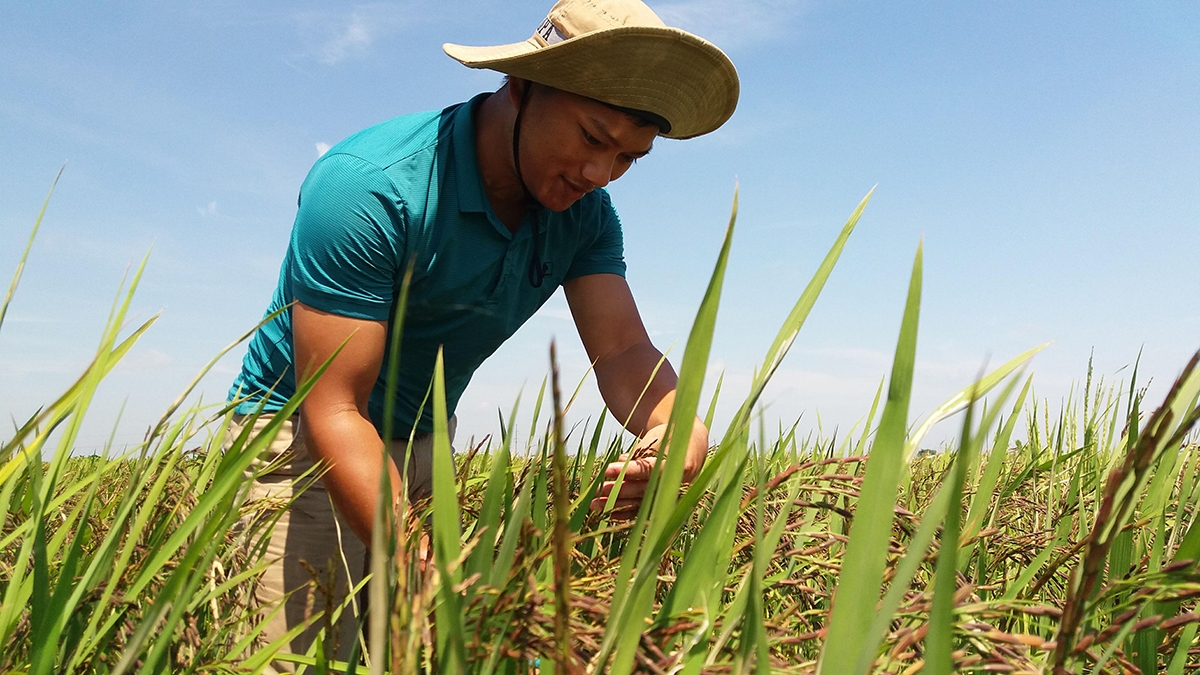 Lương Văn Trường đang gặt hái thành công với những sáng kiến độc đáo trong sản xuất nông nghiệp.