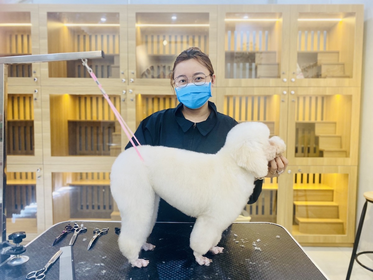 Việc chăm sóc sắc đẹp cho thú cưng vừa giúp Nhi kiếm được một khoản tiền, vừa hút khách đến lưu trú.