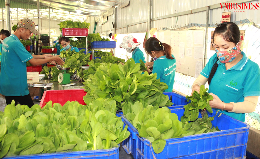 Điều kỳ vọng trong năm 2024 là các HTX có sự đột phá về thị trường đầu ra, và đột phá trong quản trị minh bạch cũng như trong quản lý dòng tiền.