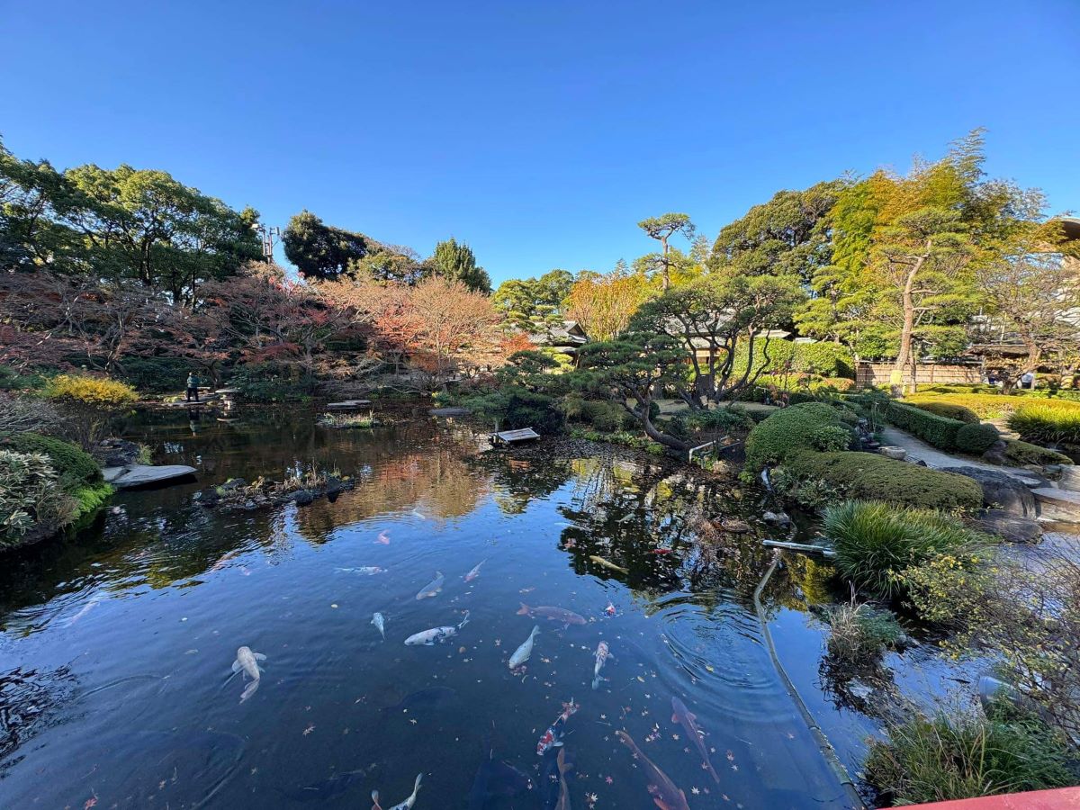 Phong cảnh Nhật Bản.