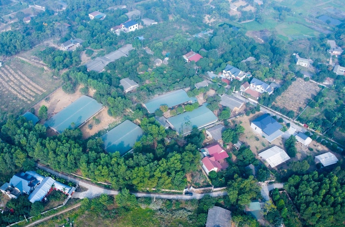 Khu trang trại hơn 40.000 m2 được đầu tư bài bản.