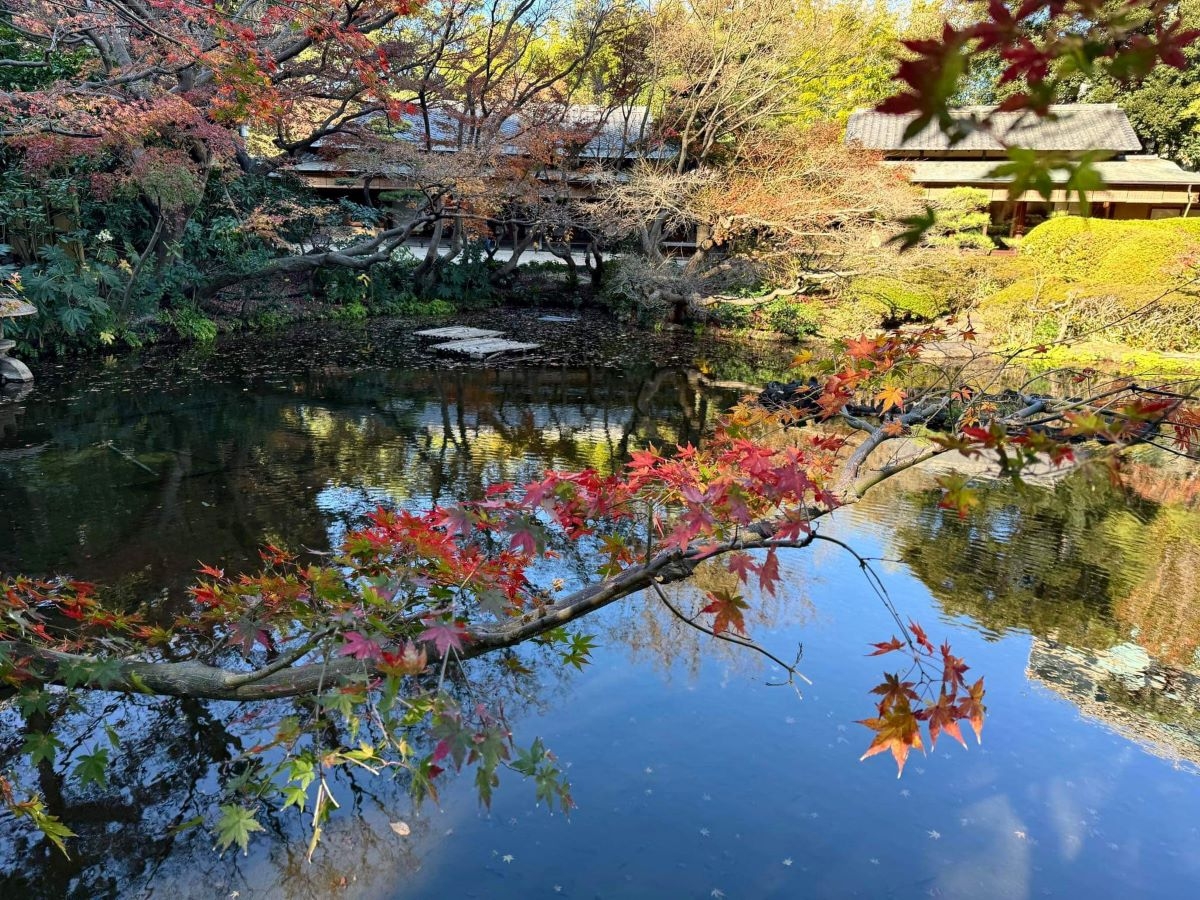 Phong cảnh Nhật Bản