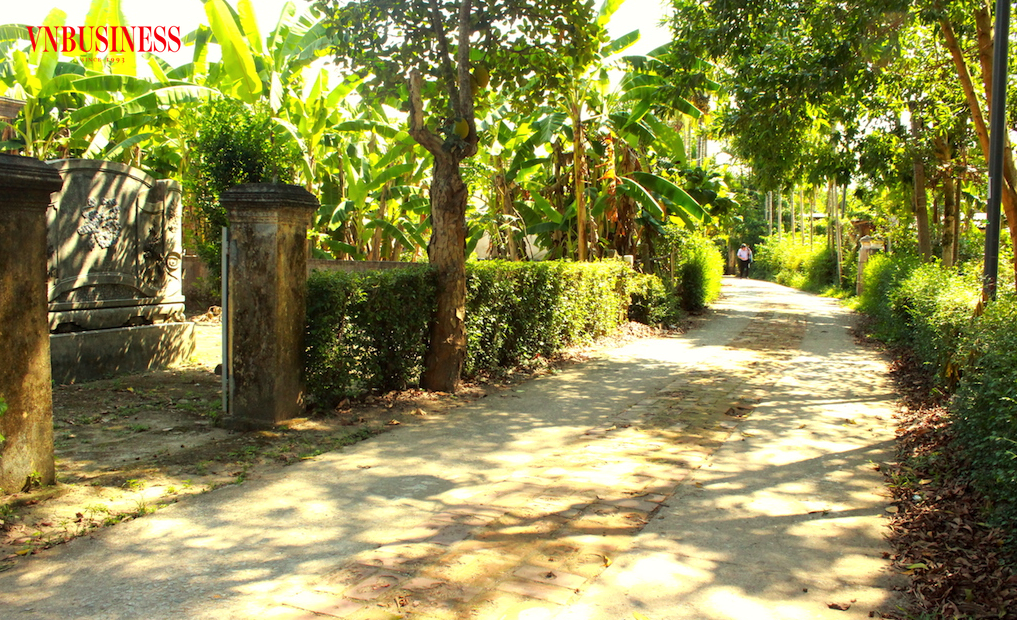 Đường làng yên bình ở Phước Tích với nét đặc trưng là cổng ngõ, sân vườn, bình phong, hàng rào chè tàu xanh trước mỗi ngôi nhà cổ.