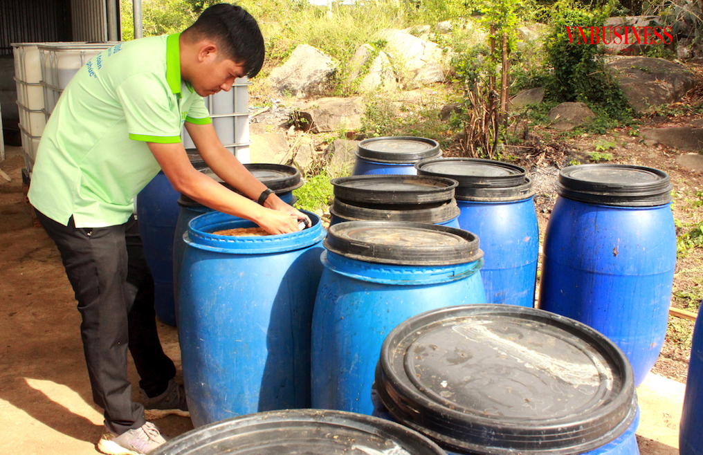 Các phế phẩm của cây nha đam được kỹ sư Vương xử lý để chiết xuất thành các chế phẩm enzyme.