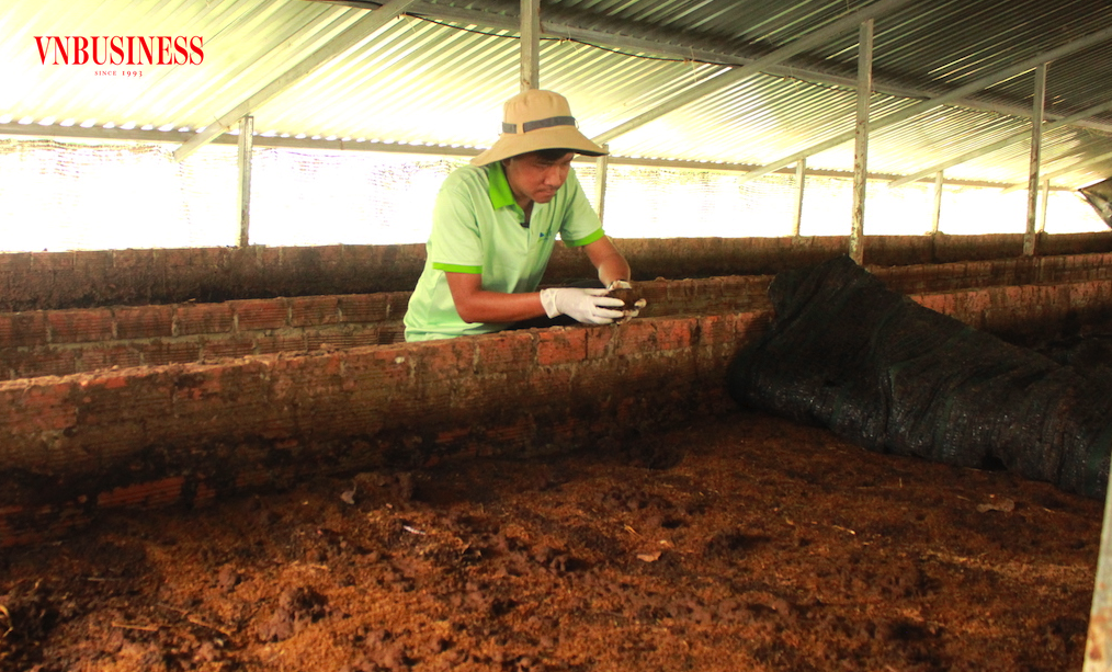 Kỹ sư Lê Minh Vương cặm cụi với “cỗ máy” tạo phân hữu cơ vi sinh tự nhiên từ phế phẩm nha đam.