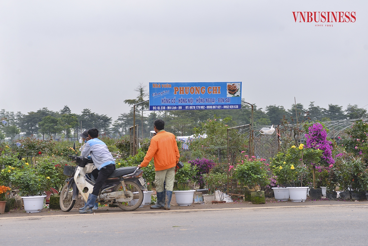 Theo ghi nhận của phóng viên Vnbusines, dọc theo quốc lộ 23B &lpar;Đoạn qua thôn 1, Hạ Lôi&rpar; các nhà vườn đã bày bán nhiều loại hoa, cây cảnh với nhiều chủng loại, kiểu dáng khác nhau.