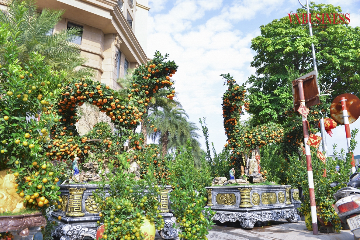 Theo anh Đức Anh, cặp quất hình rồng này mang ý nghĩa “Long Vân gặp hội“, với mong muốn mang lại giàu sang, phú quý, tài lộc, thịnh vượng cho những ai sở hữu nó.