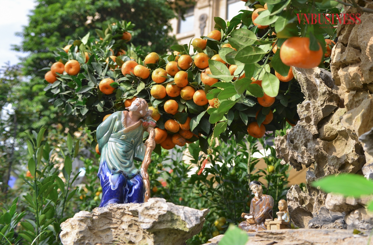 Tiểu cảnh được nhà vườn trang trí đậm chất truyền thống dưới mỗi gốc quất hình rồng.