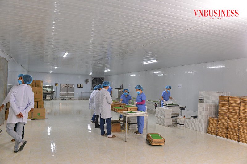 Khu nhà máy sản xuất ống hút rộng rãi được trang bị máy móc hiện đại, đảm bảo vệ sinh sạch sẽ.