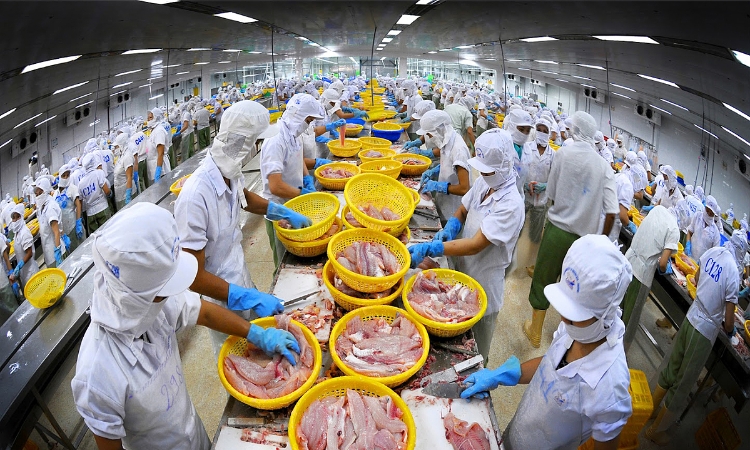 Cổ phiếu thuỷ sản vẫn... lênh đênh