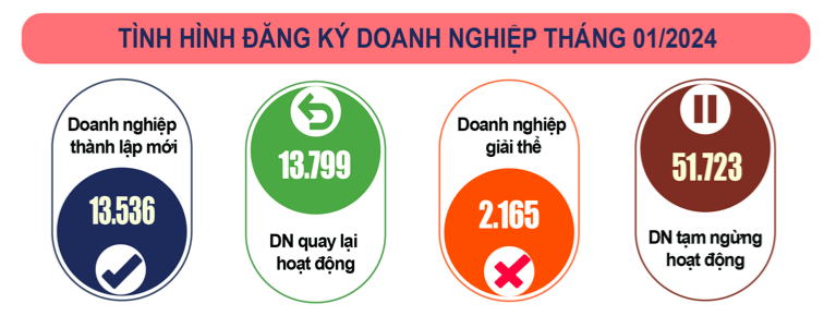 Tháng 1/2024, cả nước có 13,5 nghìn doanh nghiệp thành lập mới, tăng 2,2% so với tháng trước và tăng 24,8% so với cùng kỳ năm trước.