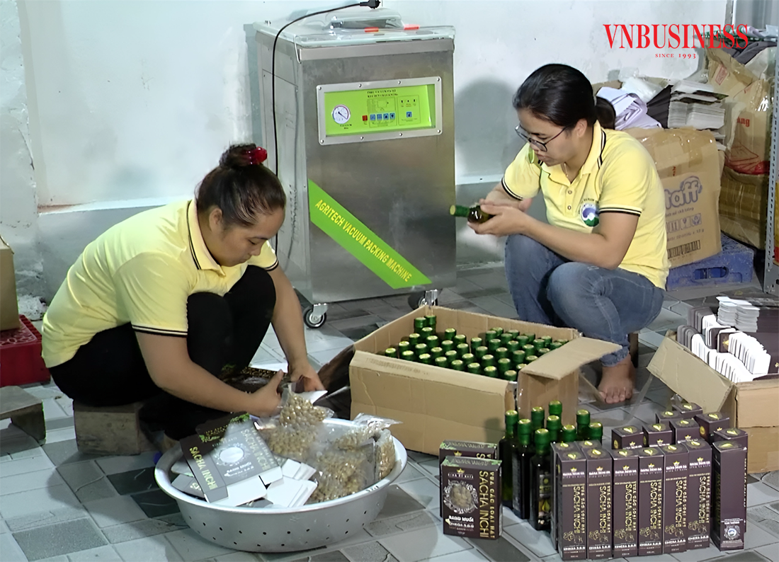 Đến nay, HTX đã và đang tạo công ăn việc làm cho nhiều lao động, góp phần phát triển kinh tế địa phương một cách tích cực.