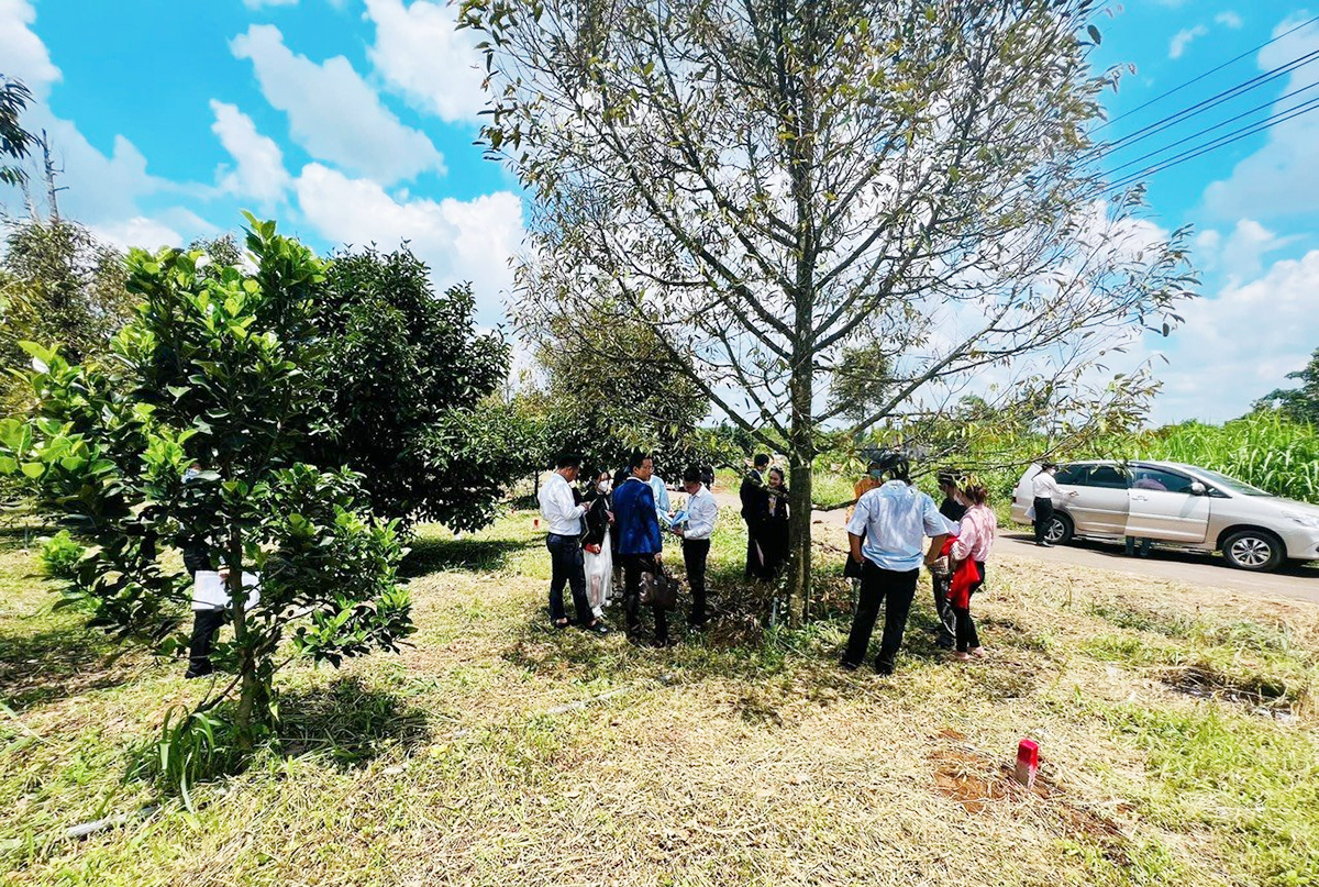 Bất động sản sầu riêng được đánh giá có tiềm năng nhưng cũng nhiều rủi ro &lpar;Ảnh minh họa: TL&rpar;.