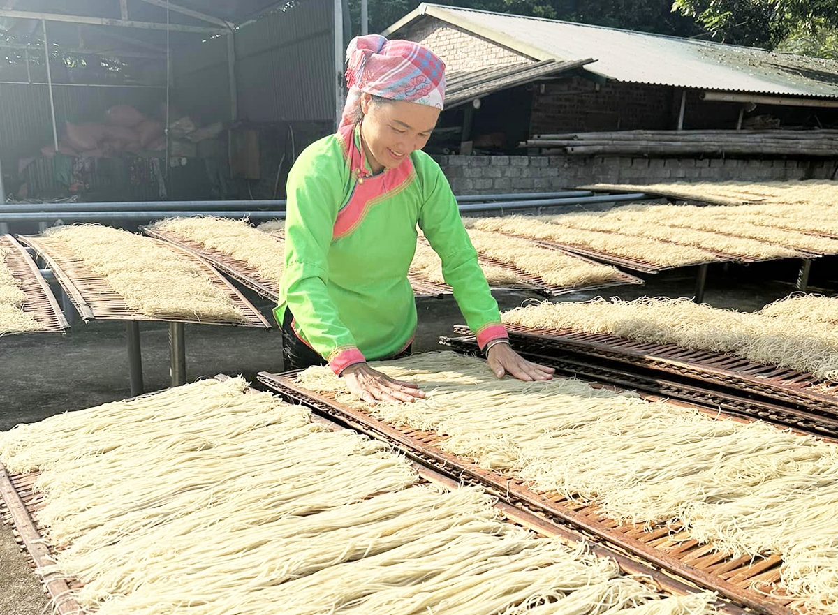 Miến dong Bản Xèo thơm ngon nức tiếng là thức quà đặc sắc trong dịp Tết &lpar;Ảnh: HTXCC&rpar;.