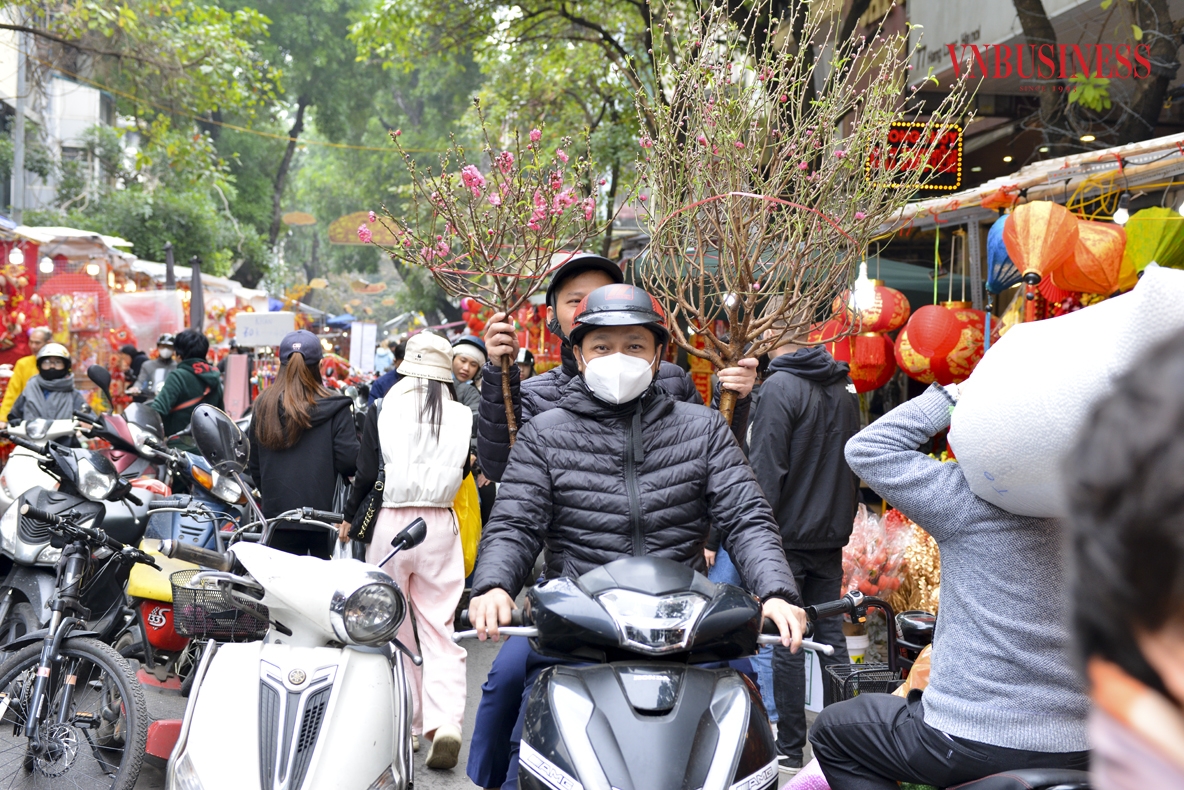 Năm nay, chợ hoa truyền thống phố cổ Hà Nội được tổ chức trên các tuyến phố Hàng Lược, Hàng Khoai, Hàng Rươi, Hàng Mã, không gian bích họa phố Phùng Hưng