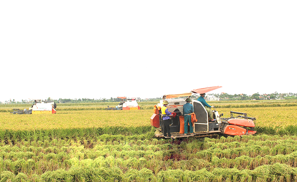 Nhiều HTX trên địa bàn tỉnh Nam Định đã dần bắt nhịp với xu hướng sản xuất hiện đại.