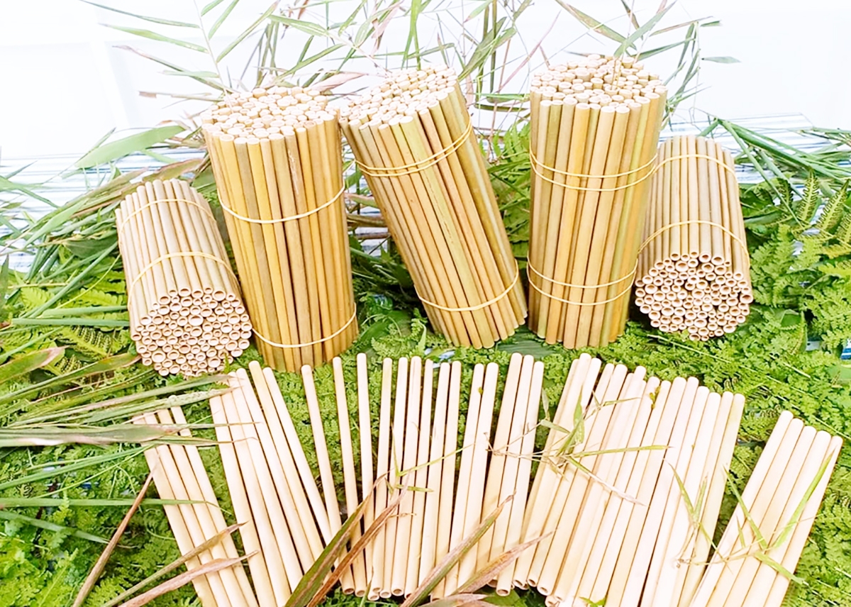 Sản phẩm ống hút thân thiện môi trường của HTX VNS Phú Thọ.