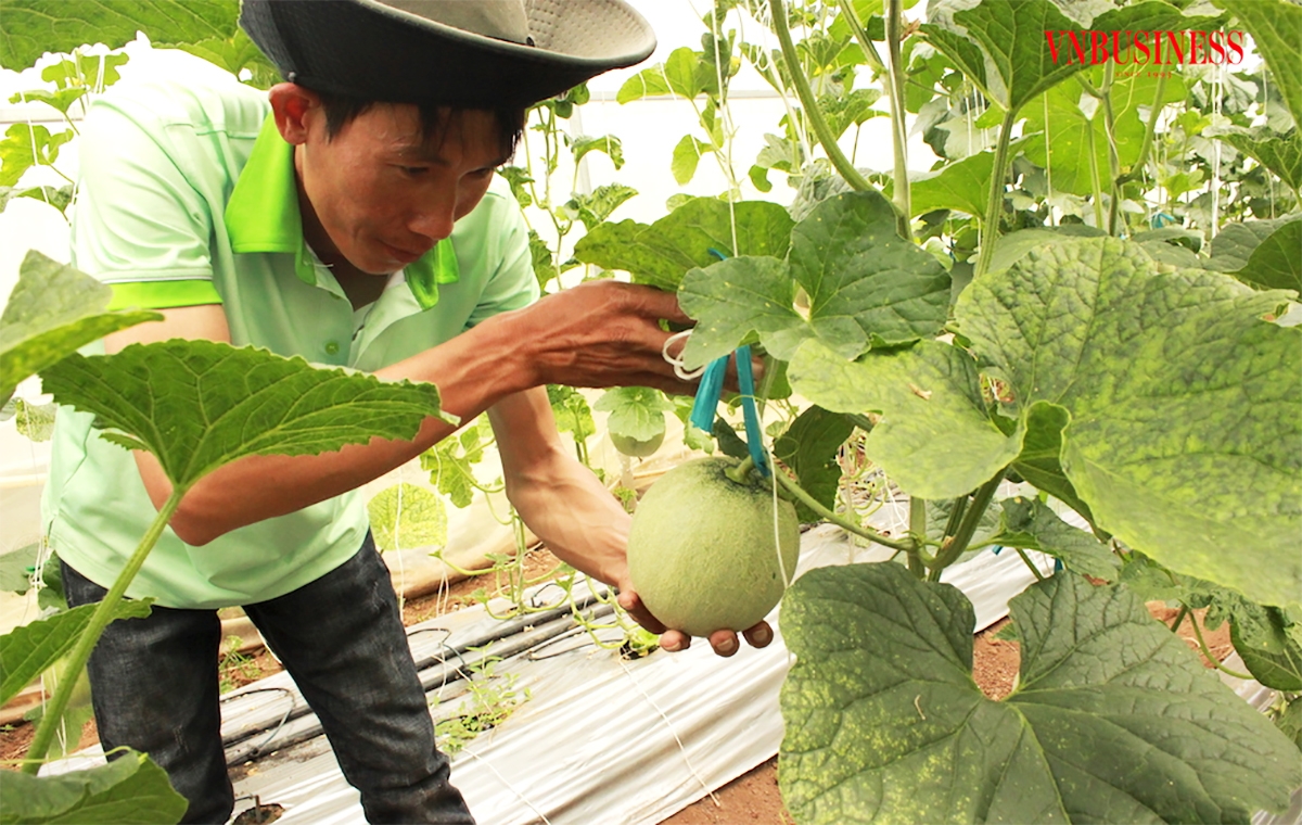 Ứng dụng công nghệ cao giúp nông dân Bình Dương nâng cao giá trị sản xuất &lpar;Ảnh: Thế Vinh&rpar;.