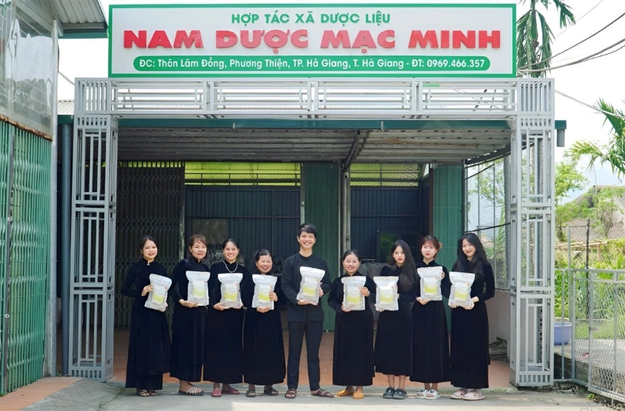 HTX Dược liệu Nam dược Mạc Minh là đơn vị tiêu biểu cho việc phát huy hiệu quả kinh tế từ cây dược liệu.