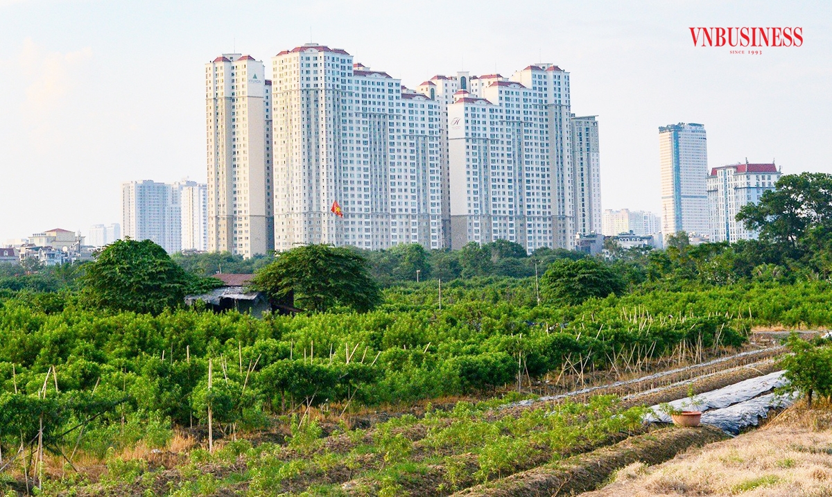 Thị trường nhà ở thứ cấp được dự báo tiếp tục sôi động trong năm 2024.