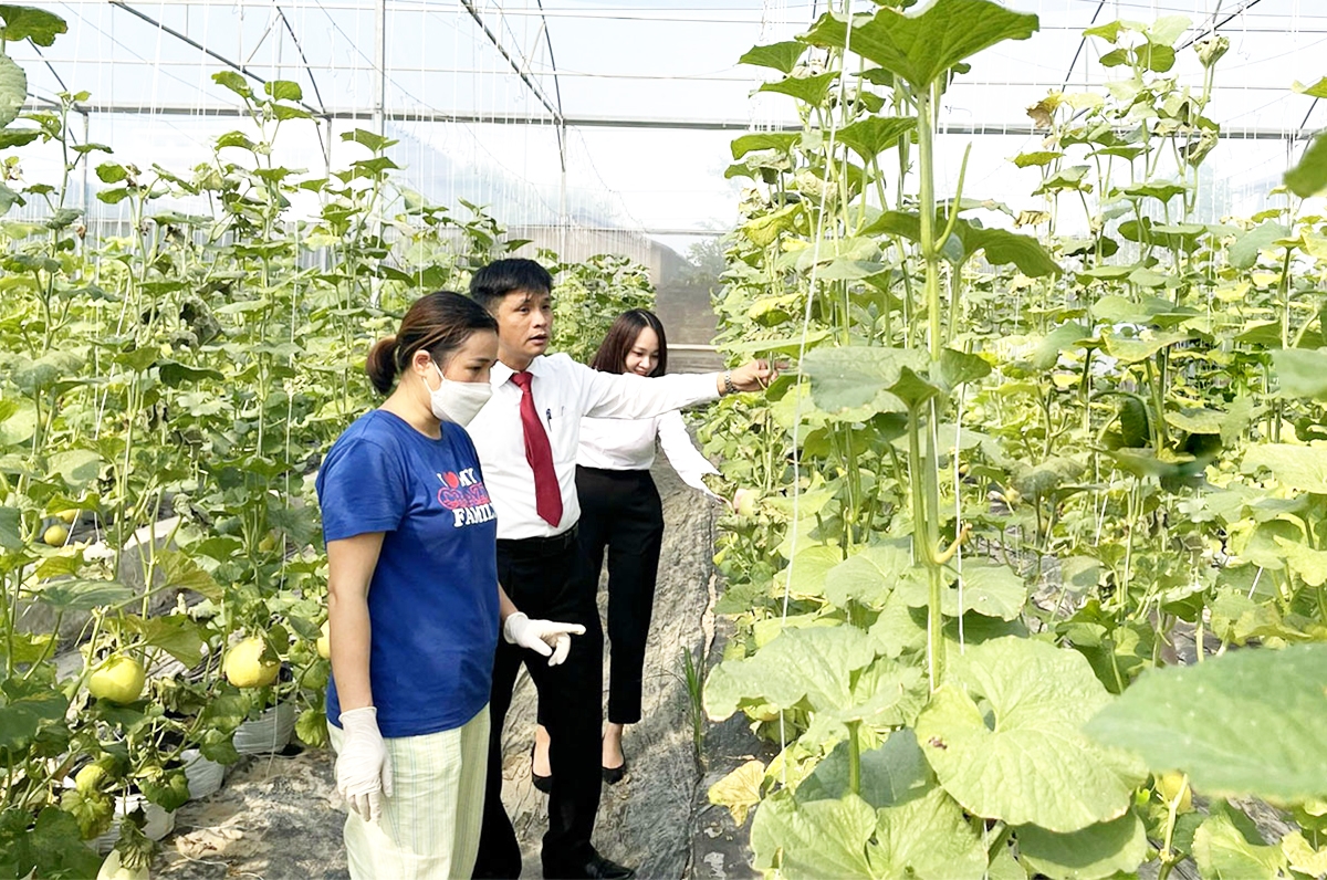 Bắc Ninh đang chuyển dần từ sản xuất nông nghiệp sang kinh tế nông nghiệp &lpar;Ảnh: BBN&rpar;.